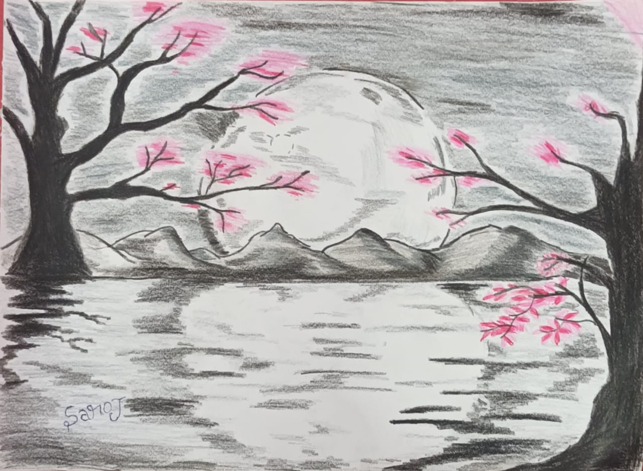 Sakura Tree at Midnight